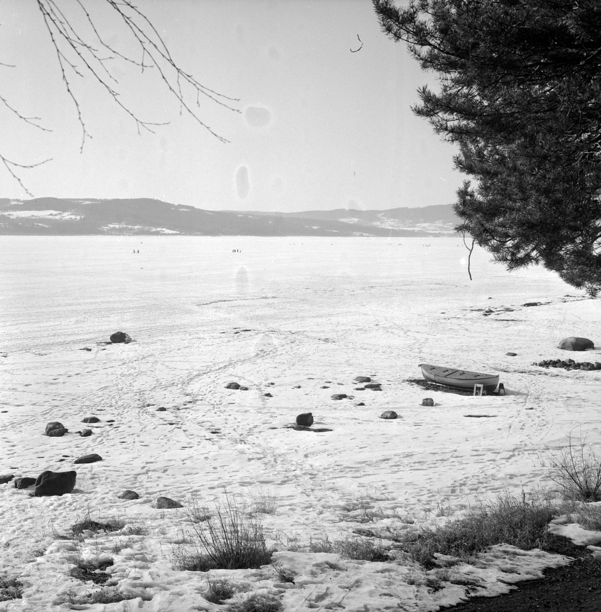 Adolf Skjegstad, ASK-04073