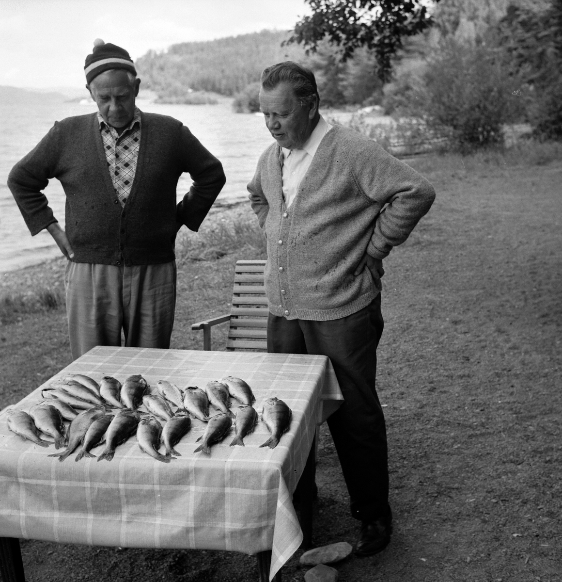 Adolf Skjegstad, ASK-04075