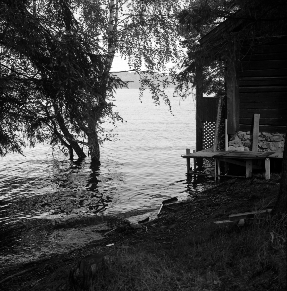Adolf Skjegstad, ASK-04094