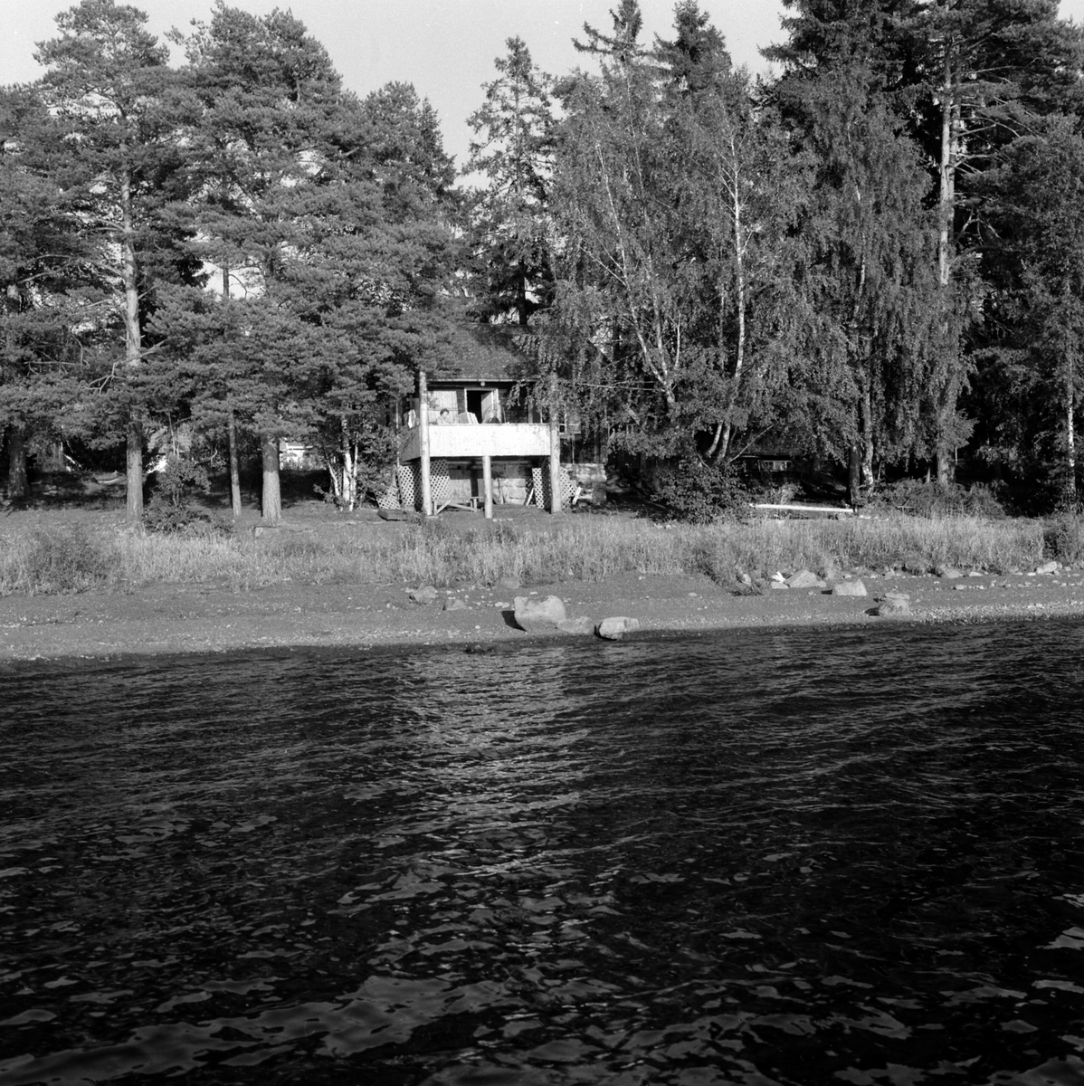Adolf Skjegstad, ASK-04142