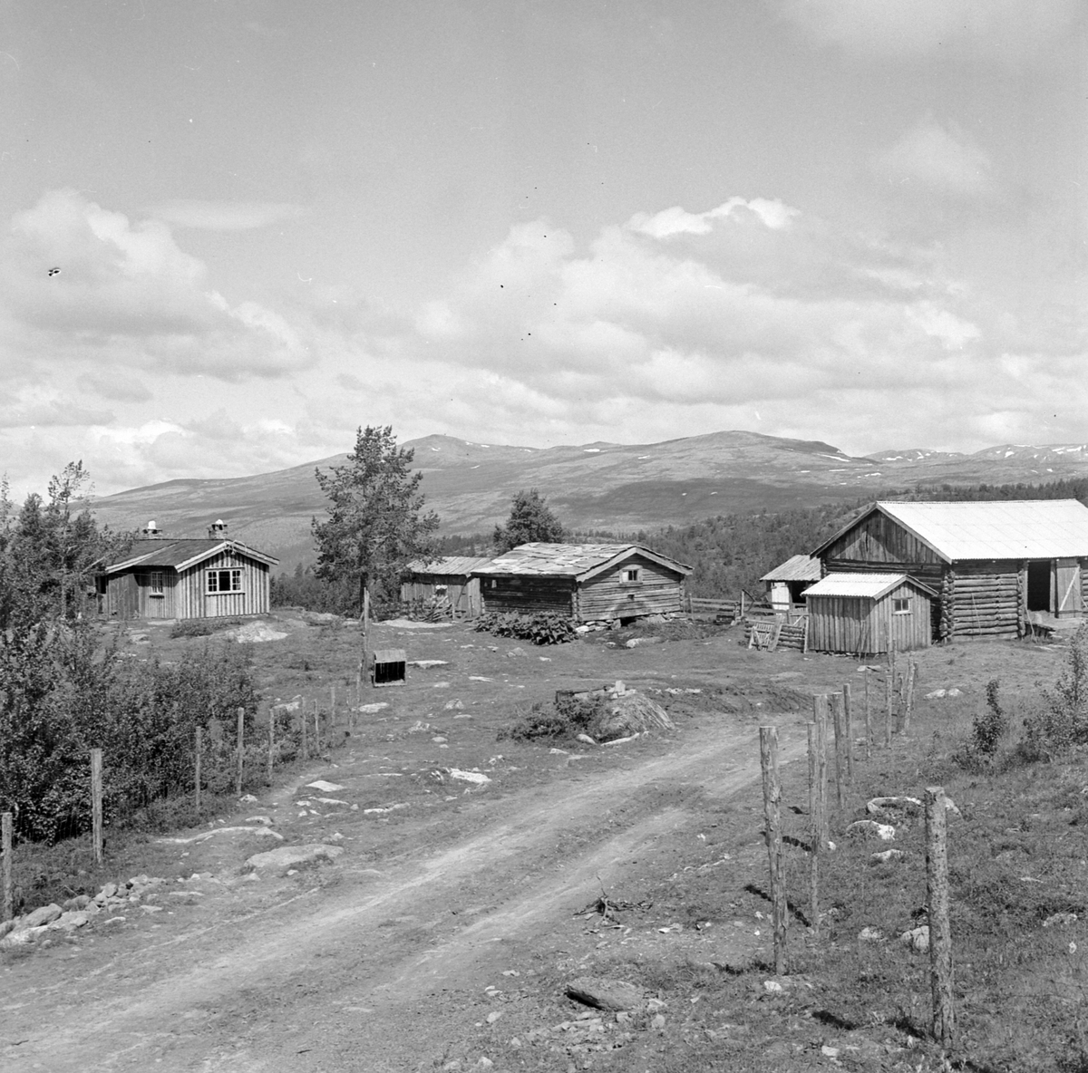 Adolf Skjegstad, ASK-04206