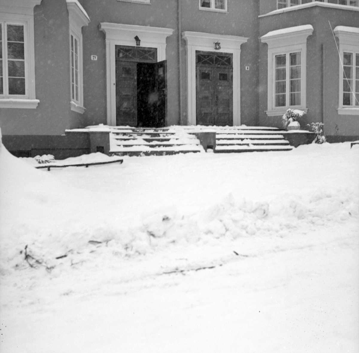 Adolf Skjegstad, ASK-04278