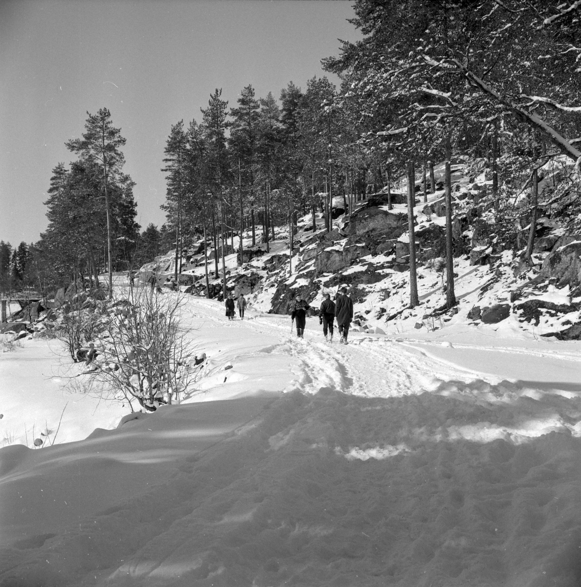Adolf Skjegstad, ASK-04312