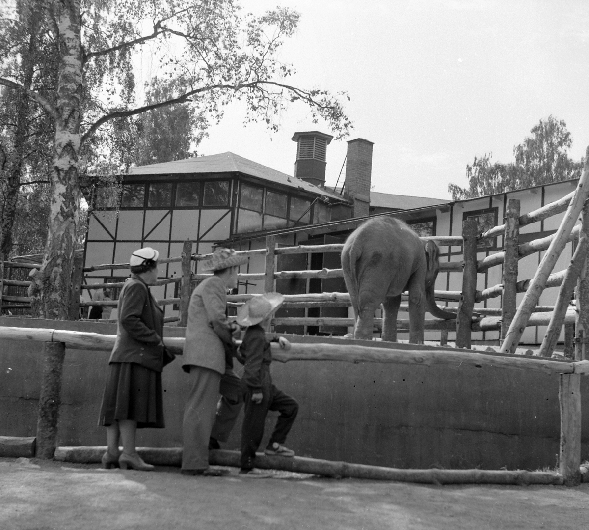 Adolf Skjegstad, ASK-04324