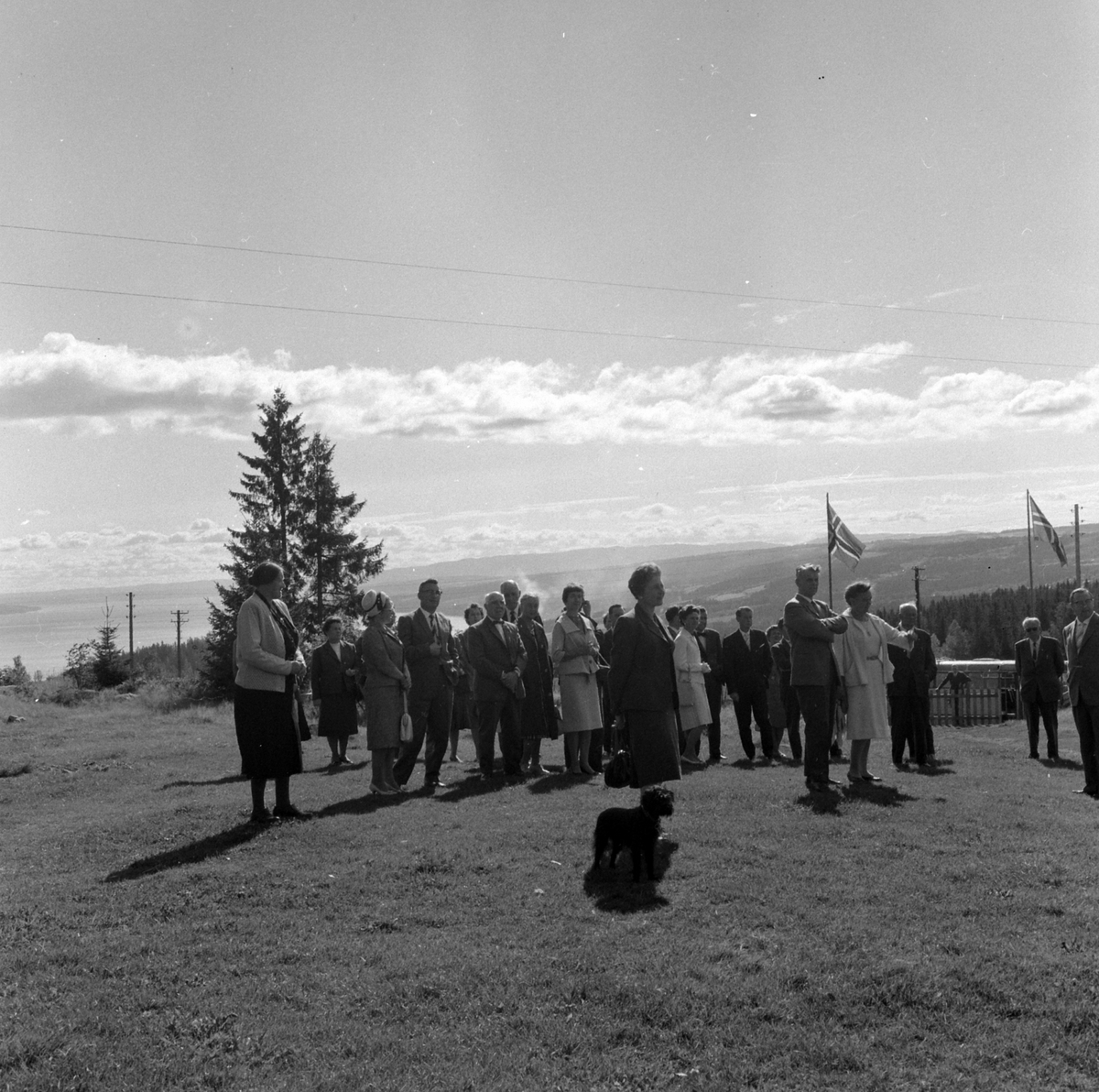 Adolf Skjegstad, ASK-04352
