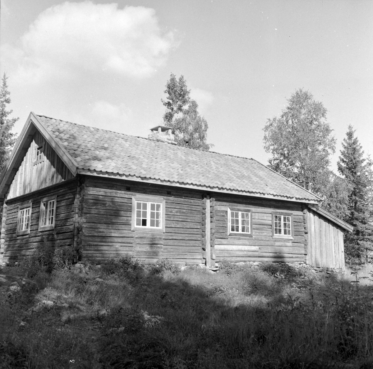 Adolf Skjegstad, ASK-04353