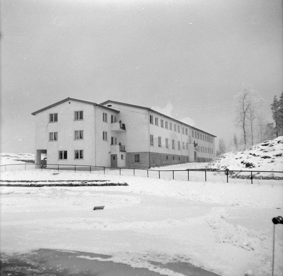 Adolf Skjegstad, ASK-04356