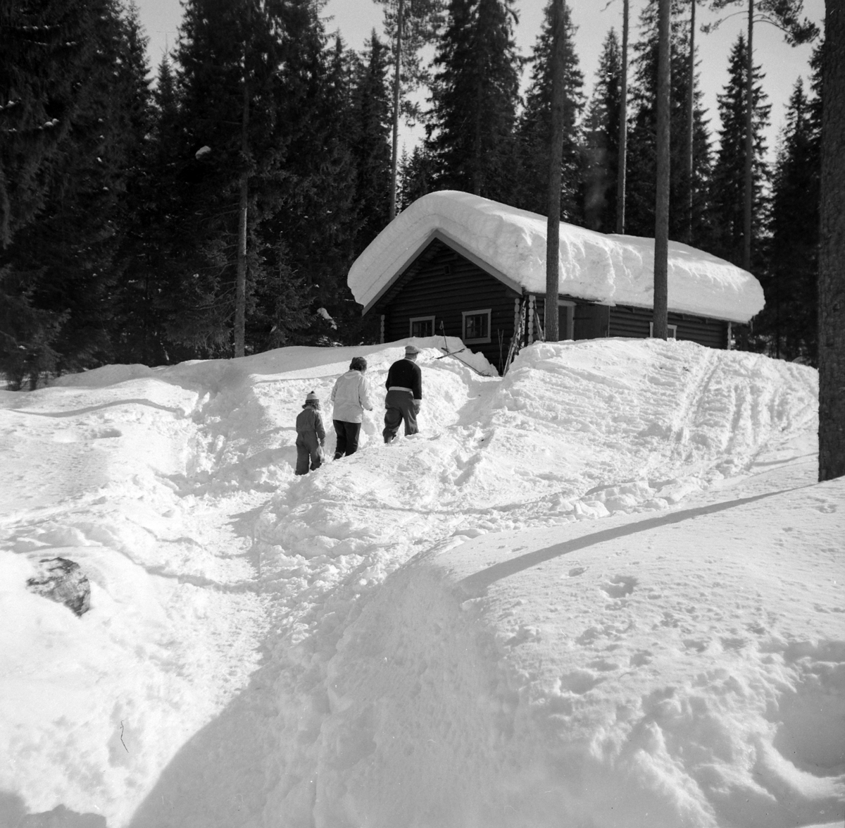 Adolf Skjegstad, Asbjørg, Petra og Adolf Skjegstad, vinter, snø, hytte, skogskoie, ukjent sted.
