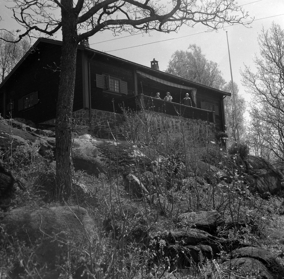 Adolf Skjegstad, ASK-04392