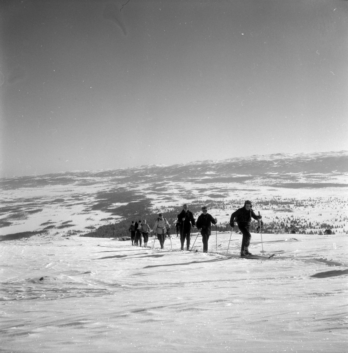 Adolf Skjegstad, ASK-04416