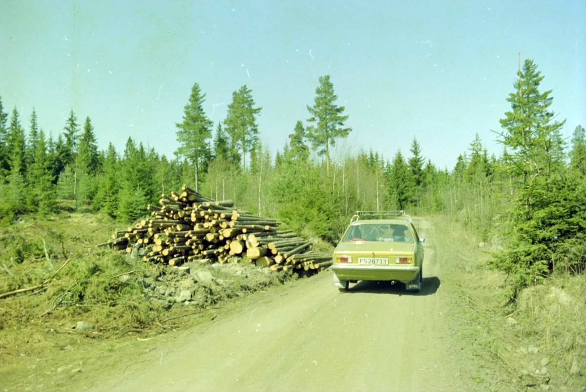 Adolf Skjegstad, ASK-04731