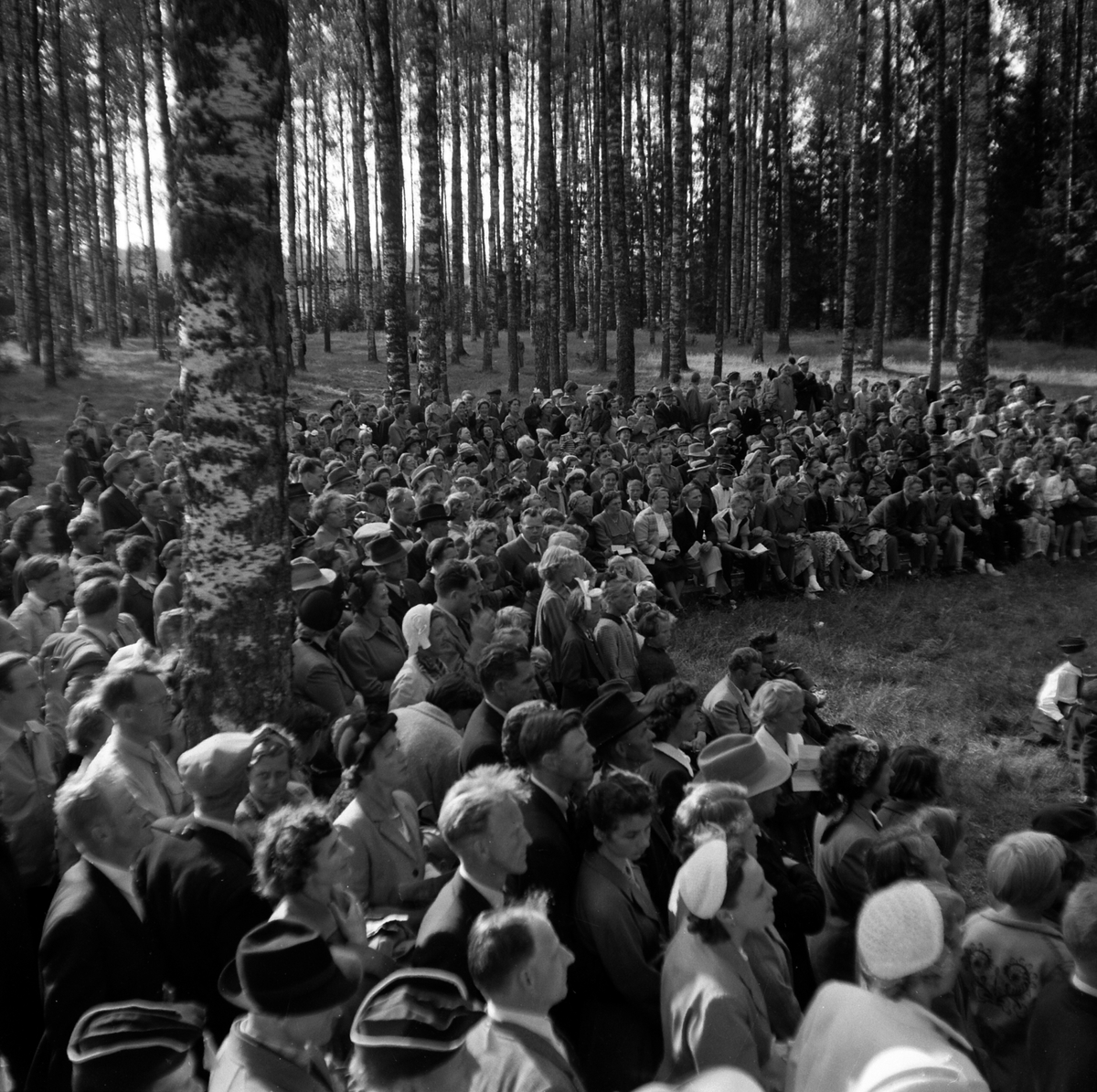 Adolf Skjegstad, ASK-04801