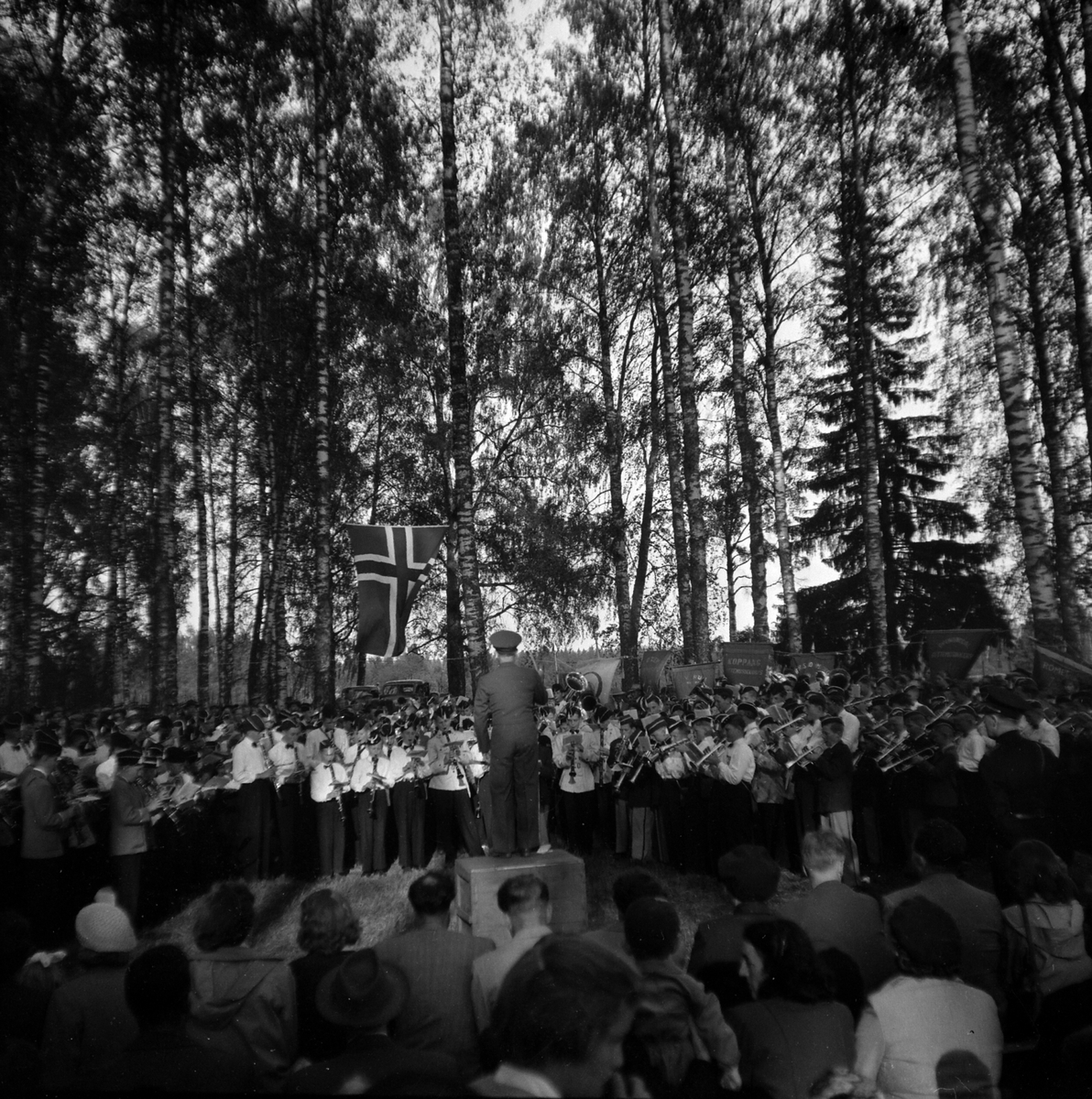 Adolf Skjegstad, ASK-04803