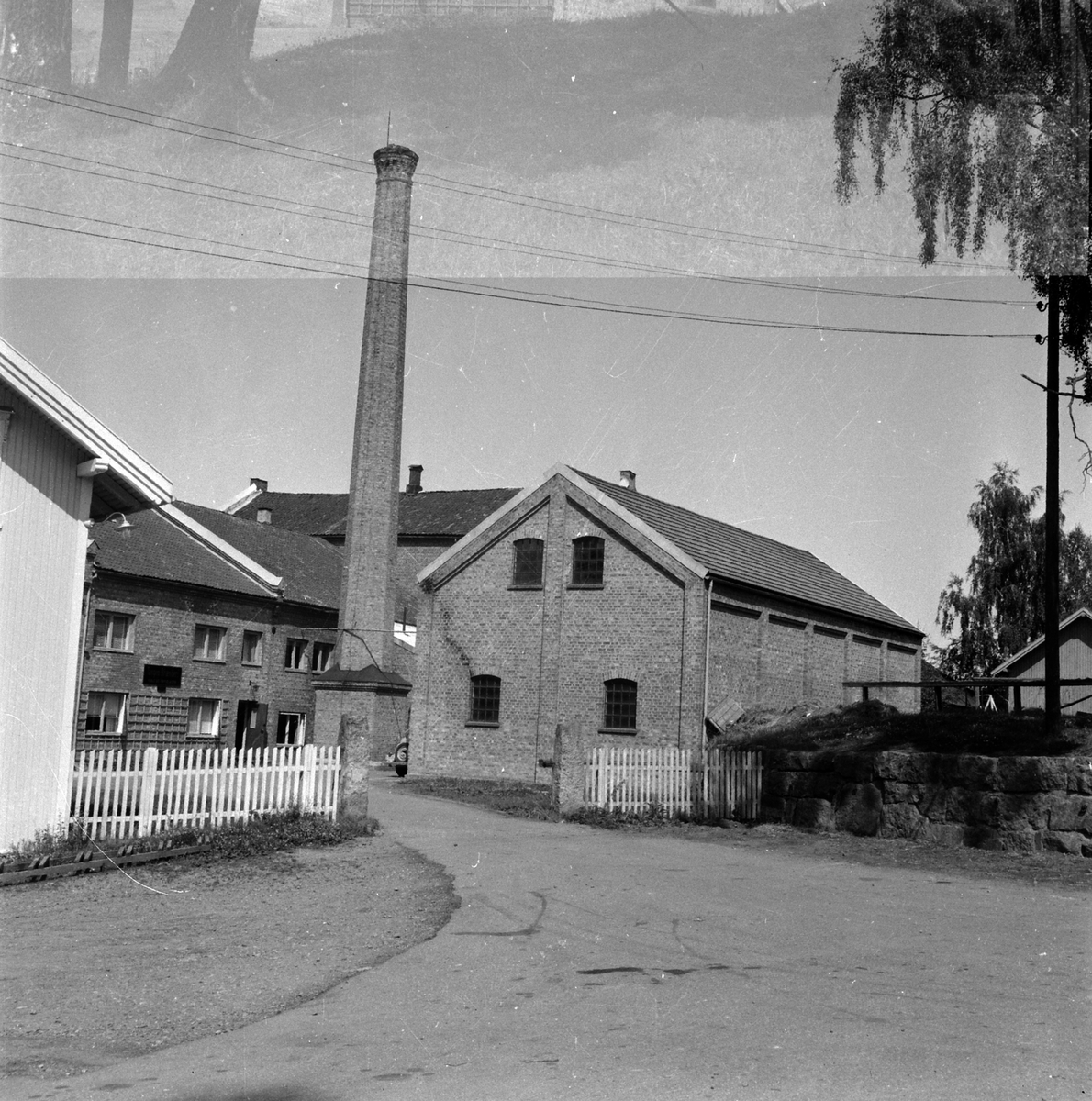 Adolf Skjegstad, ASK-04805