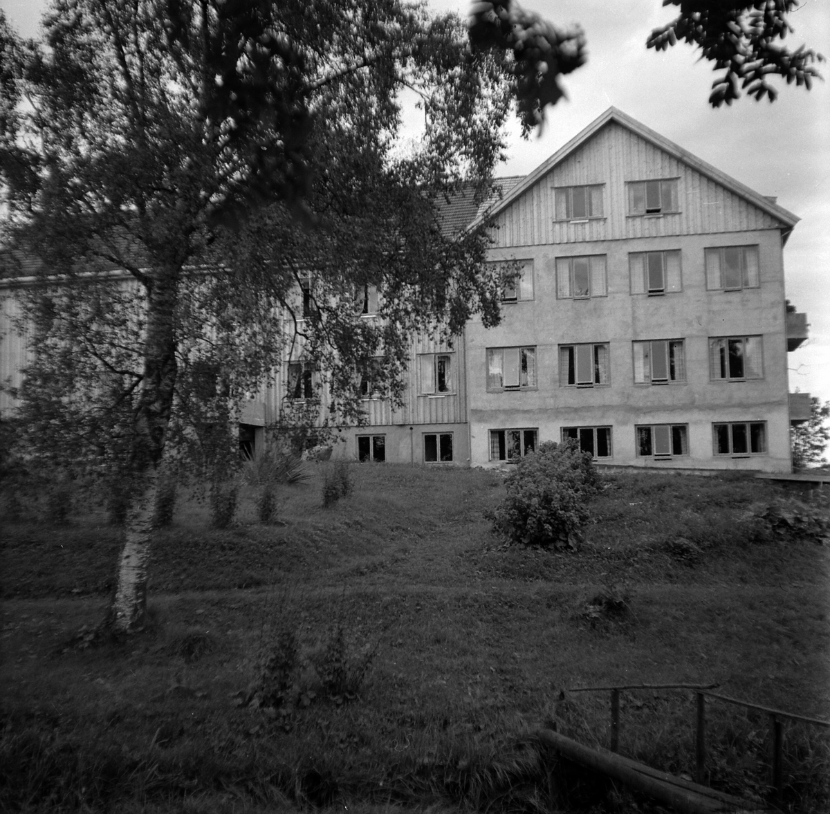 Adolf Skjegstad, ASK-04814
