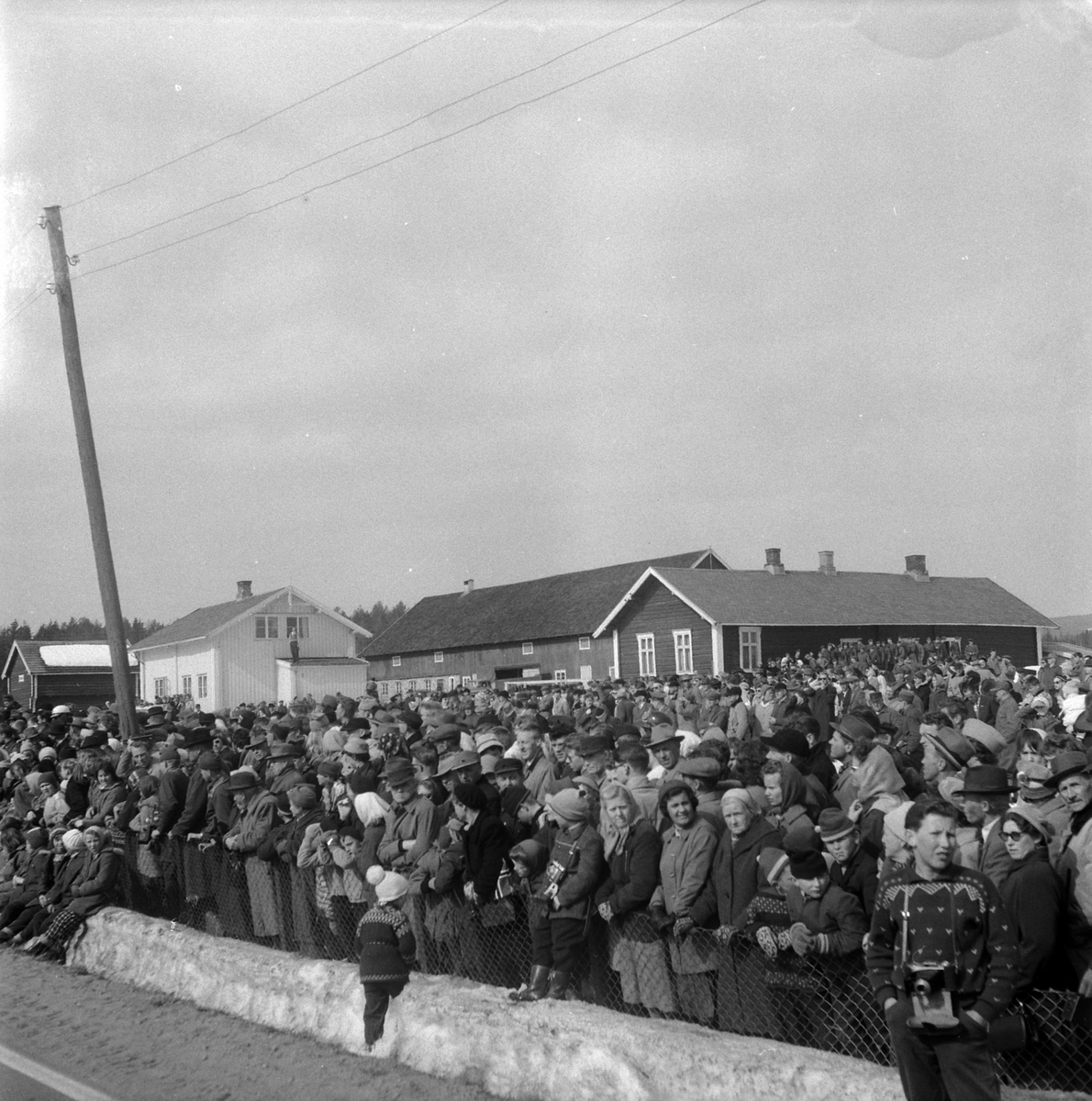 Adolf Skjegstad, ASK-04856