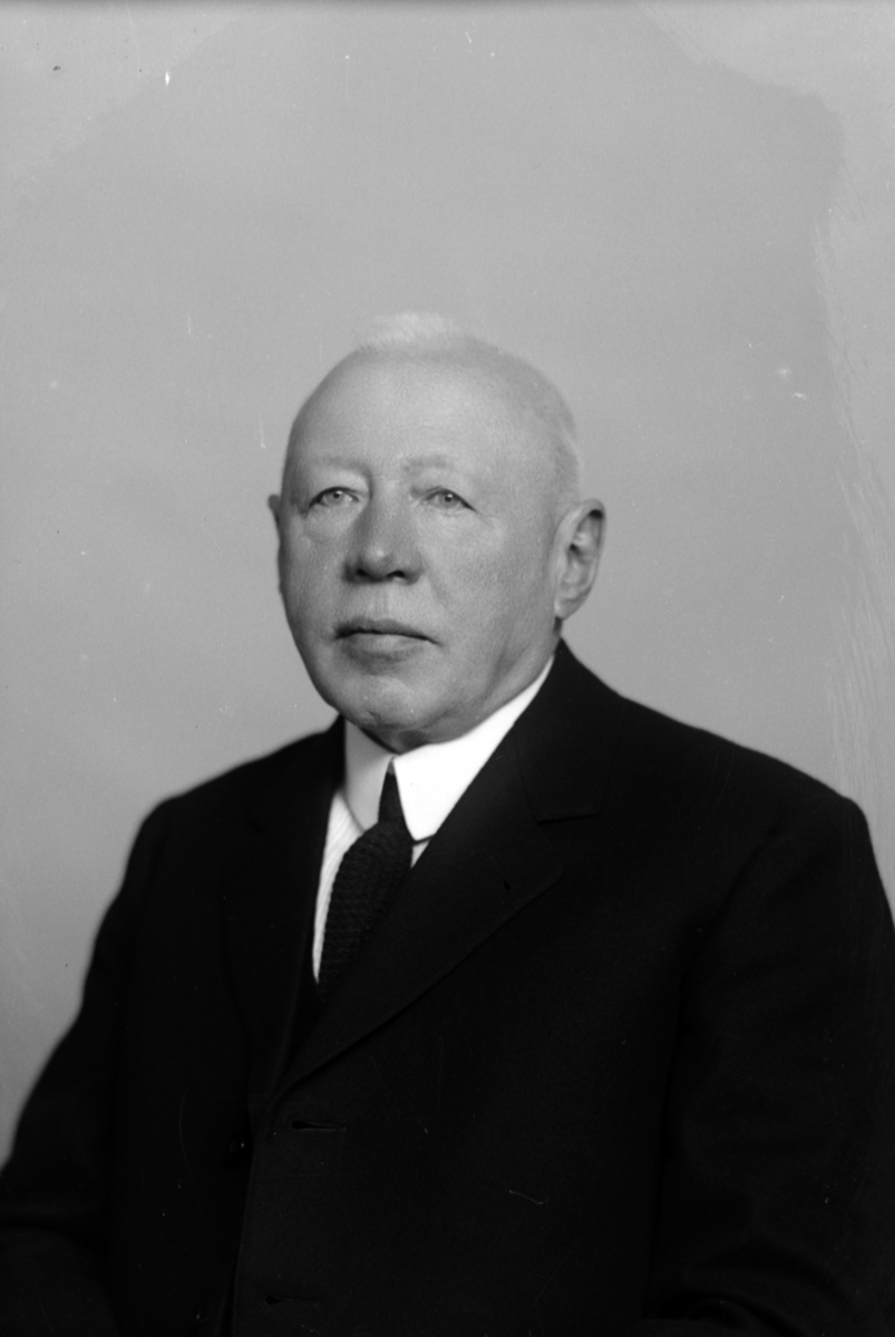 Christian Grundseth, HAFSAHL DR. , HALVFIG. 35940