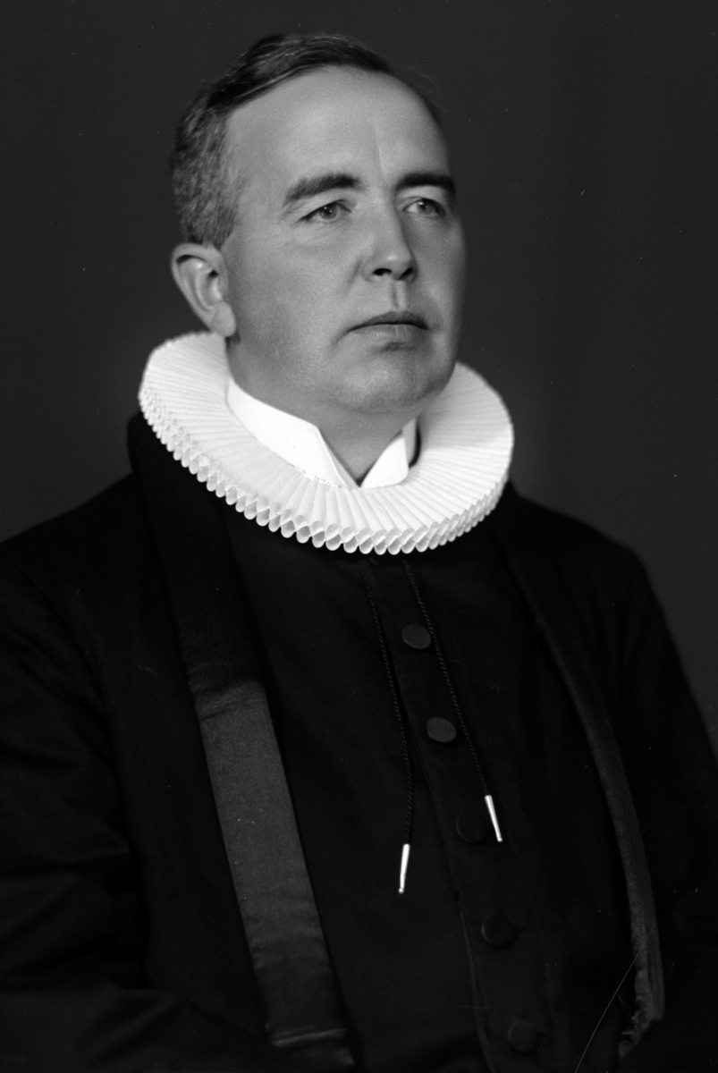 Christian Grundseth, RIISER SOGNEPREST, PRESTEKJOLE, HALVFIG. , 36531