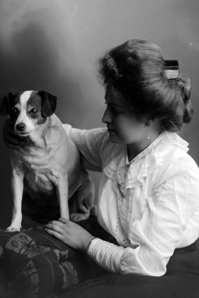Christian Grundseth, FALCK AUGUSTA, DAME M/HUND, 12334