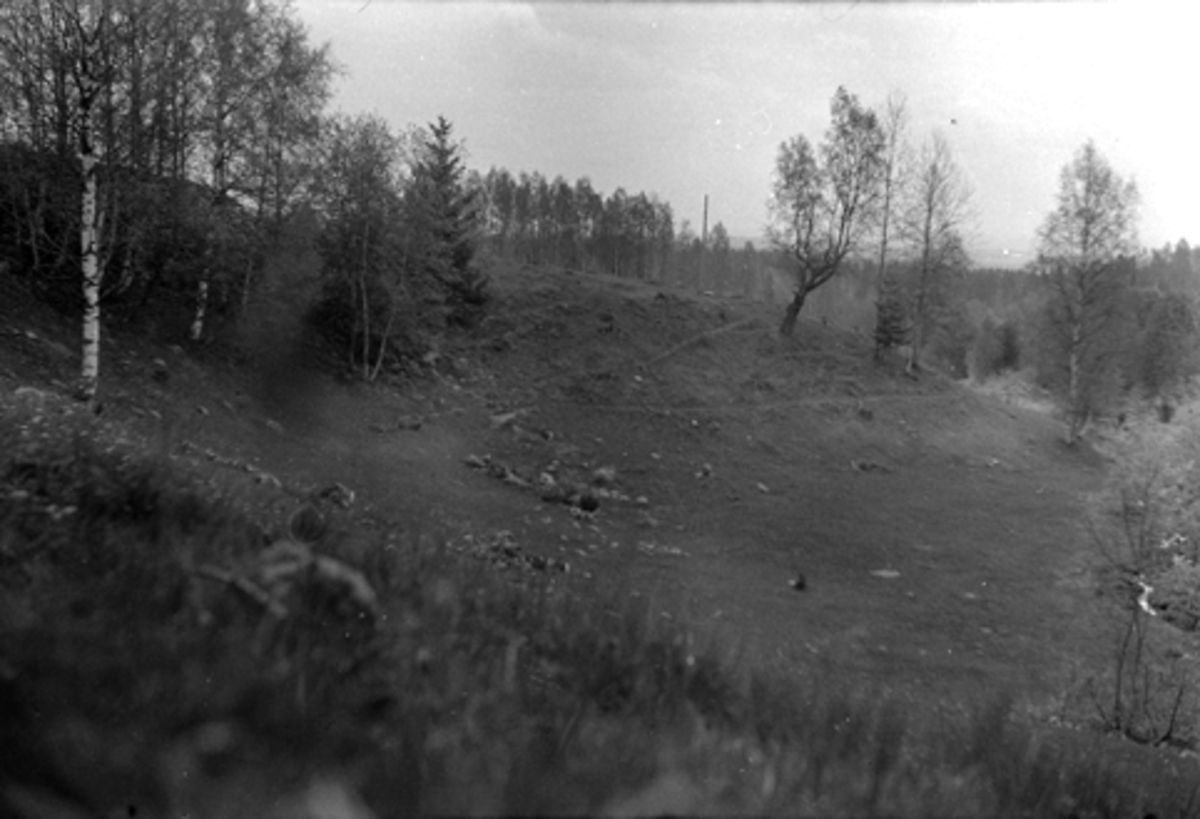 Toralv Bleken-Nilssen, RØSBAK. FURNES i Ringsaker. VANNINGSVEIT. VATN. ENGVANNING.