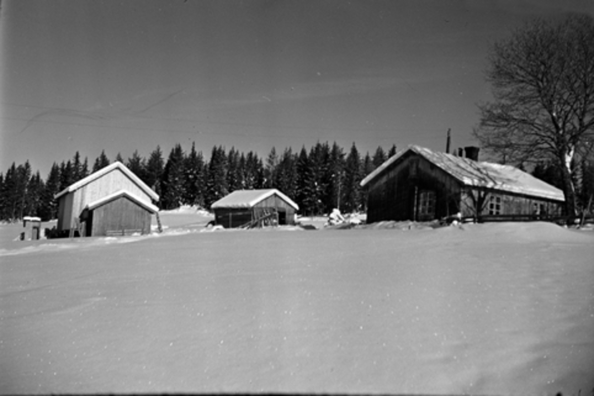 Toralv Bleken-Nilssen, TAJESVEEN. FURNES i Ringsaker. TUN. FB1. 151. 701-5.