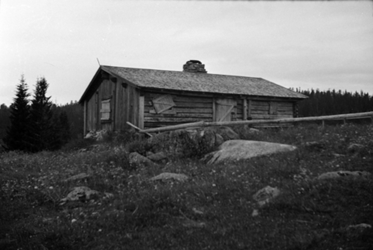 Toralv Bleken-Nilssen, GAUKIL. SETER. ROMEDAL ALLM, Stange. FRØNNINGSTØRHUSET.