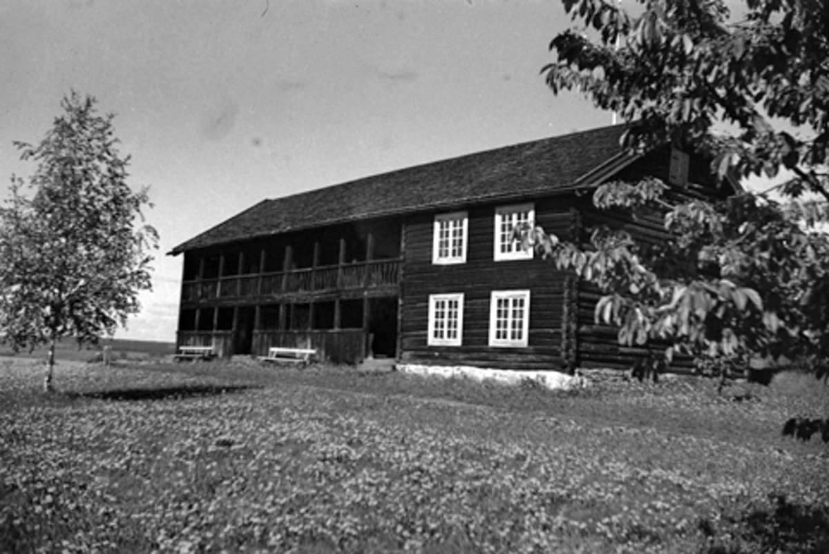 Toralv Bleken-Nilssen, HUBREDBYGNINGEN. HDH. 15. EKSTR. FRA VANG, Hamar.