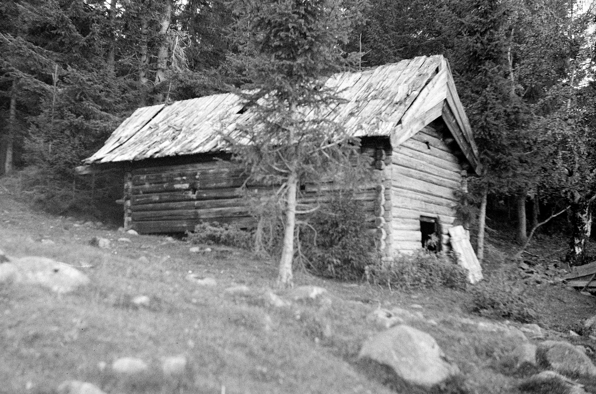 Toralv Bleken-Nilssen, VARDERBERG. VELDRE i Ringsaker. BADSTUE.