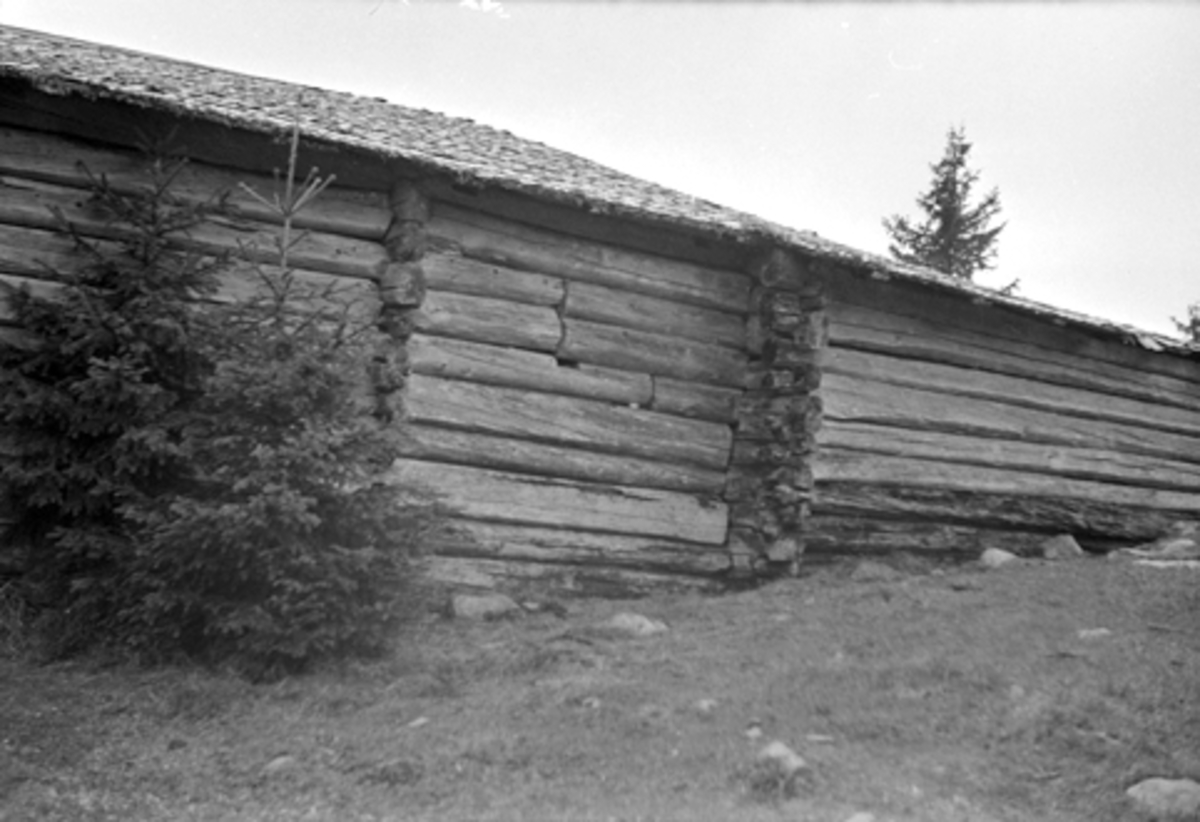 Toralv Bleken-Nilssen, BJØNNÅSEN, ILE, VESLE, SETER. TØMMERVEGG. , HDH. 66