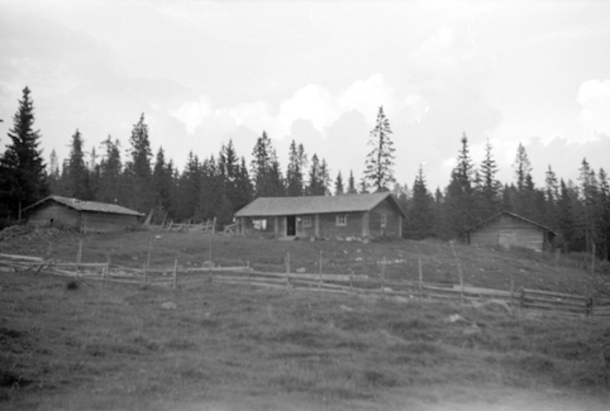 Toralv Bleken-Nilssen, NARSETRA, ÅNESTADHUSA, LØTEN ALLM. 1946.