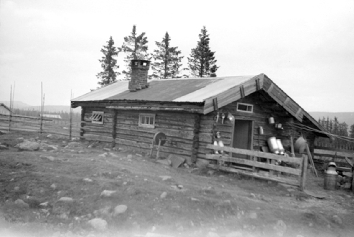Toralv Bleken-Nilssen, BJERKESETRA, STORØDEGÅRDEN, LØTEN ALLM. 1946.
