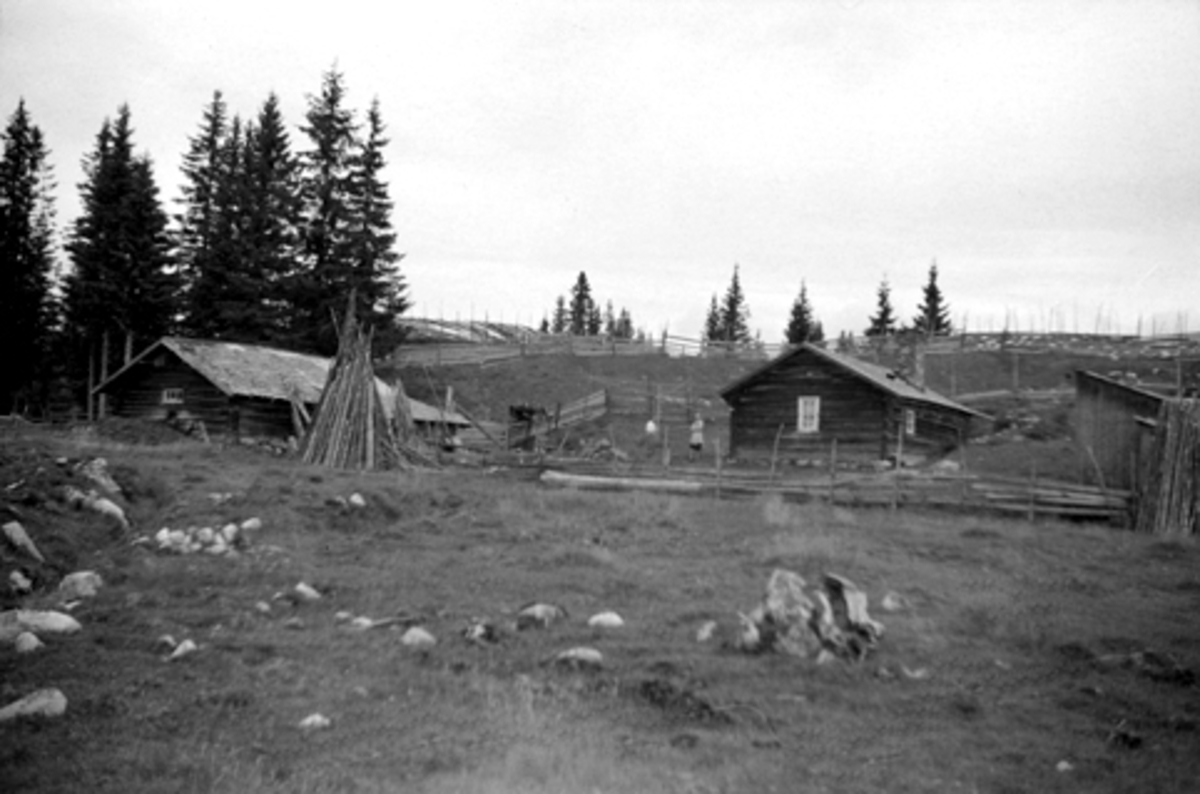 Toralv Bleken-Nilssen, GRYLLINGSETRA, MYKIHUSA, LØTEN ALLM. , 1946. Seter.