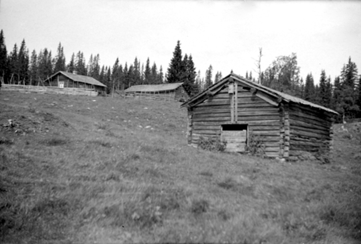 Toralv Bleken-Nilssen, GRYLLINGSETRA, GJERSENGHUSA, seter, LØTEN ALLM. , 1946.
