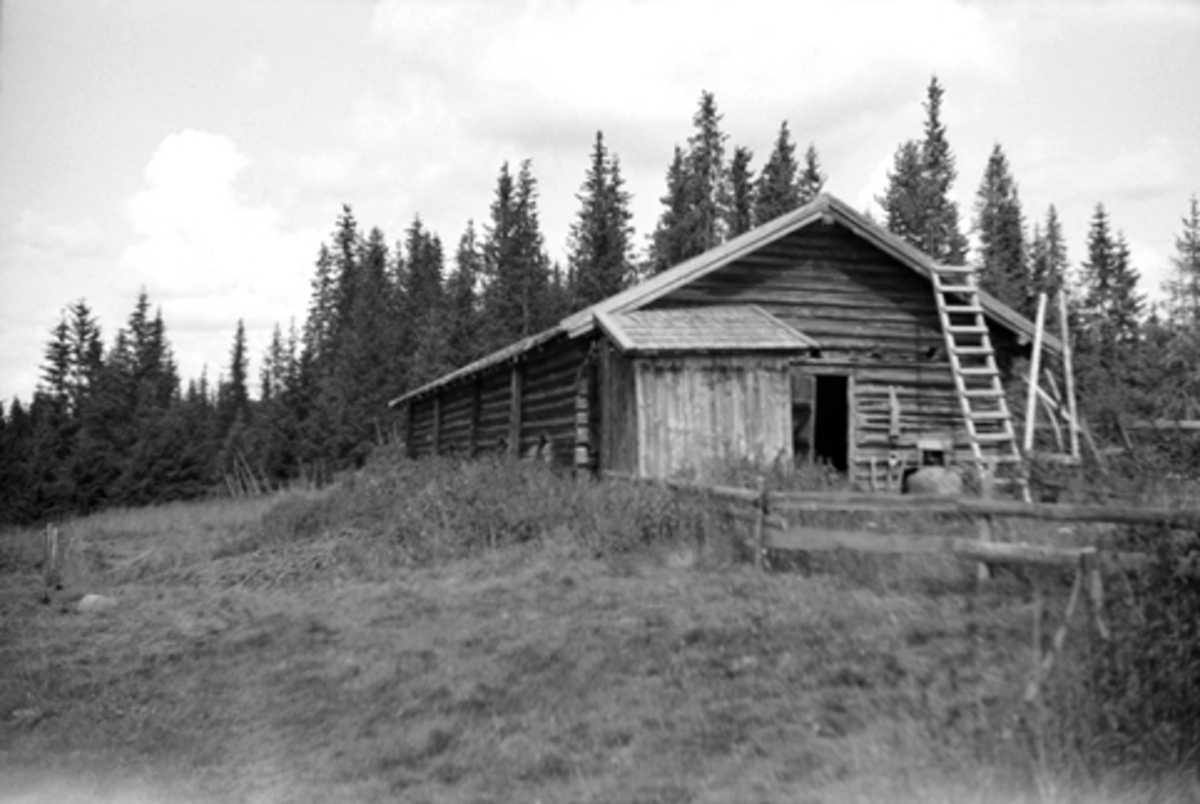 Toralv Bleken-Nilssen, STOR-FLØTEN, SETERFJØS, seter, BJØRGE, VELDRE, RINGS. ALLM. 1946.