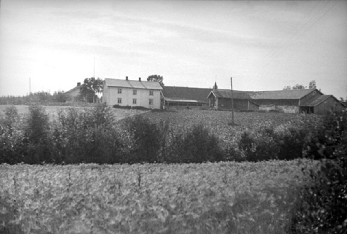 Anno Domkirkeodden, INGELSRUD GÅRD I VANG H. GNR. 83-1