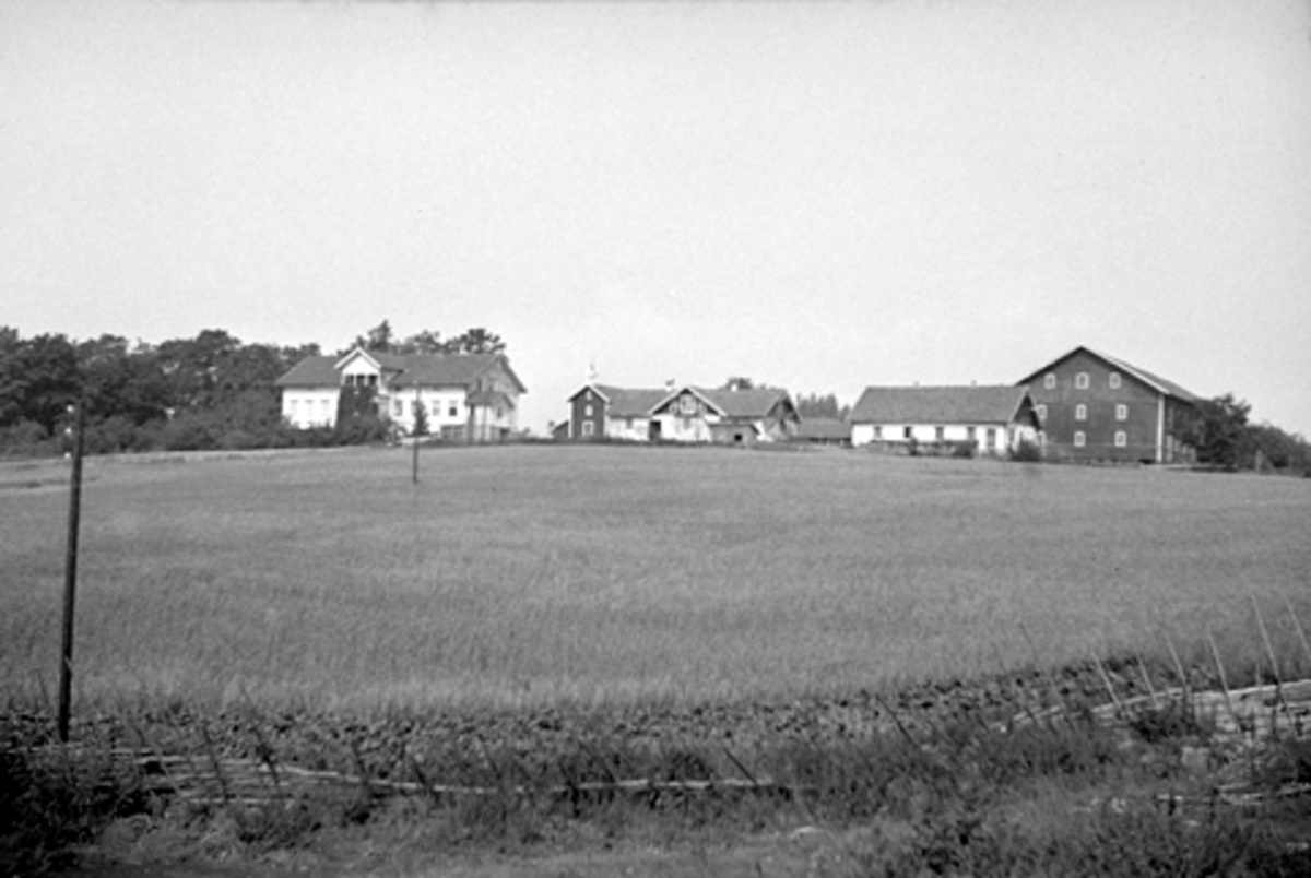 Anno Domkirkeodden, HUBRED STORE I VANG, Hamar, GNR. 15
