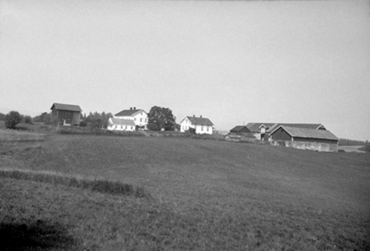 Anno Domkirkeodden, HELSTAD GARD I VANG i Hamar kommune, GNR. 175-
