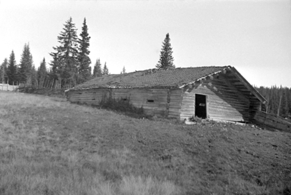 Anno Domkirkeodden, SKREPÅSEN, SETERHUS, FJØS, ALU GARD I FURNES i Ringsaker, 307-2