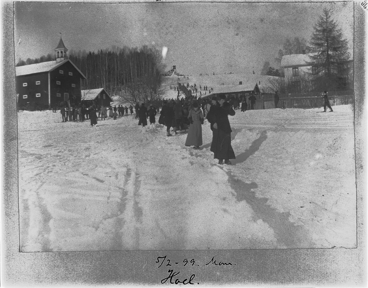 Johan Albert Steen, HOEL GARD. HAMAR. VINTER SKIRENN. MYE FOLK.