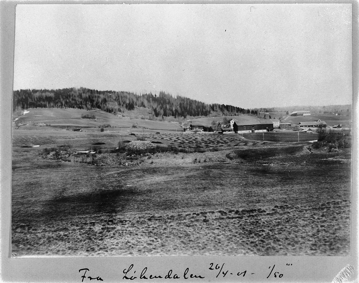 Johan Albert Steen, TOKSTAD GARD I LØKENDALEN, RUDSHØGDA, RINGSAKER, LANDSKAP, 26-4-1901.
