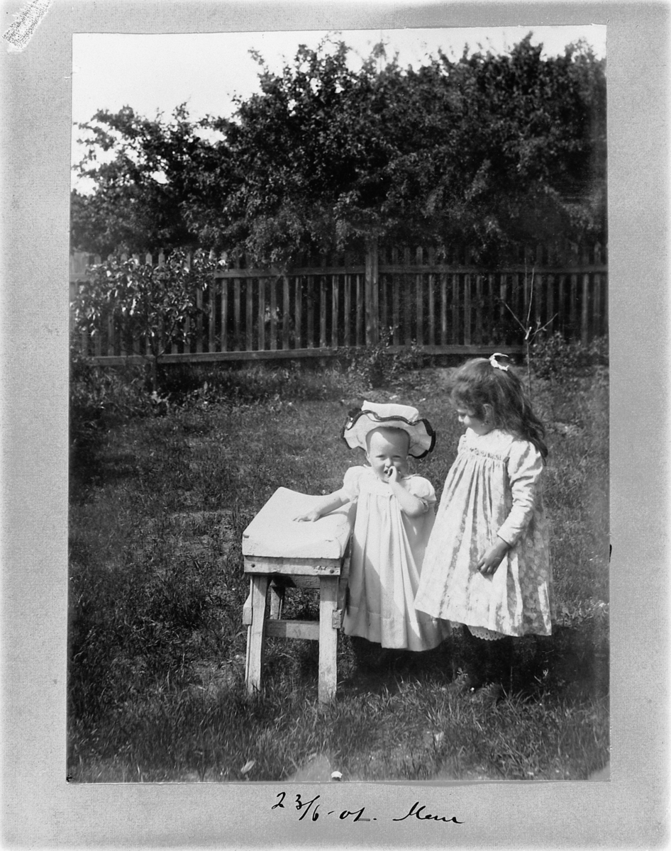 Johan Albert Steen, TO UKJENTE JENTER I KJOLE, STRANDGATEHAGEN, HAMAR. 23-6-1901.