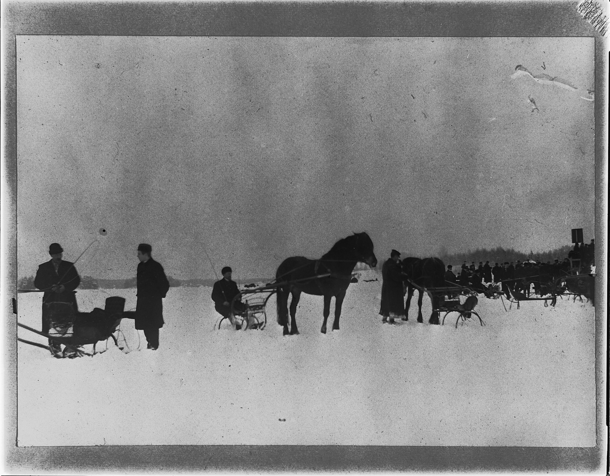 Johan Albert Steen, TRAVLØP PÅ MJØSISEN, HESTER, KUSKER, SLEDE, PISK. 2-3-1902. HAMAR OG OMEGN TRAVSELSKAP ARRANGERTE HVERT ÅR TRAVLØP PÅ MJØSA FØRSTE SØNDAG I MARS.
