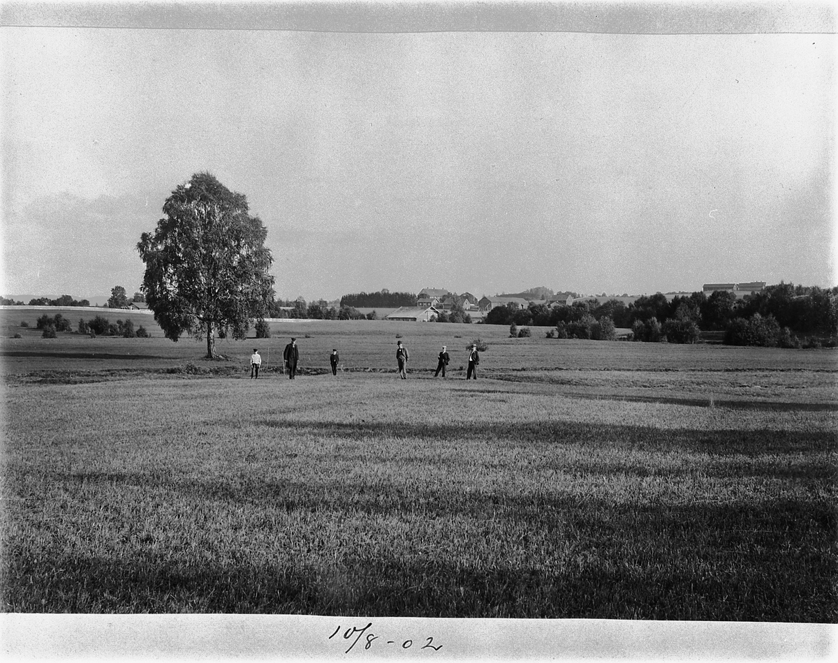 Johan Albert Steen, GRUPPE 6. UTE PÅ ÅKER, FRA BJØRKETEIGE, SANDE GARD I ROMEDAL, LANDSKAP. 10-8-1902 Nr 2 fra v. Theodor Gjestvang, nr 4 Gustav Gjestvang, nr 5 Finn Hjelt, nr 6 Petter Gjestvang. Kværnhuset midt i bildet, Sand i bakgrunnen, Arneberg opp til høyre. Møllerbolig til venstre.