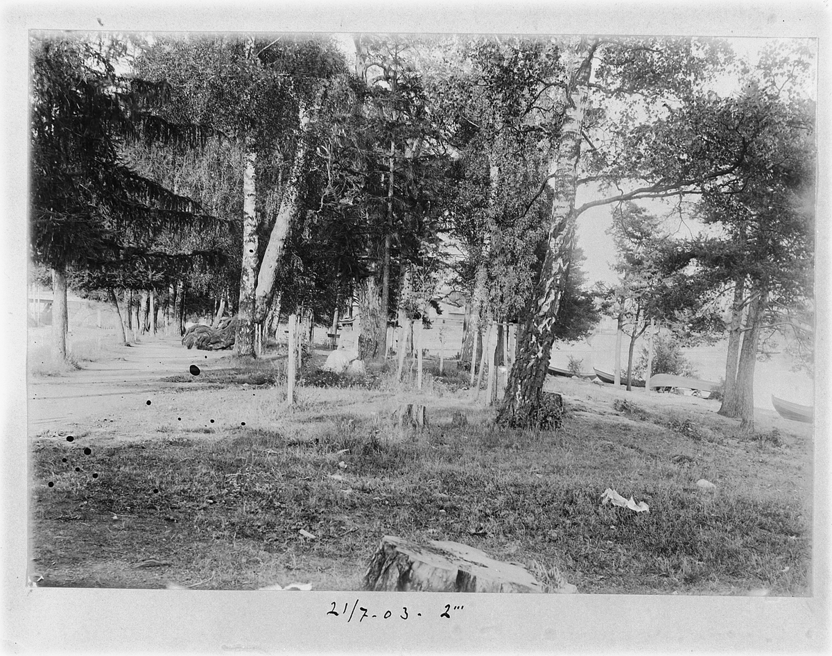 Johan Albert Steen, STORHAMARSTRANDA, Hamar, STRANDPROMENADEN, UKJENT KVINNE. 21-7-1903.