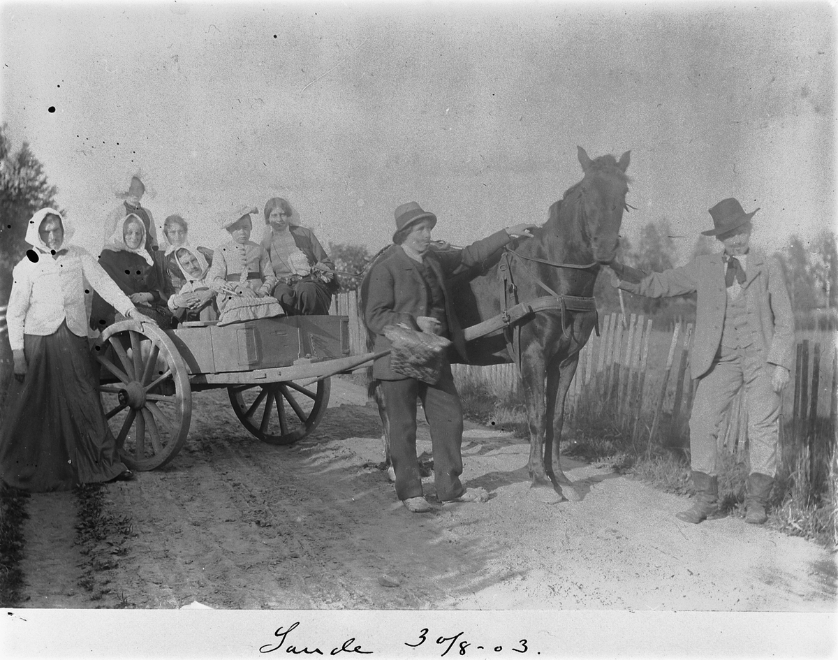 Johan Albert Steen, SANDE GARD, ROMEDAL, GRUPPE 9 UKJENTE UTKLEDDE, HEST OG KJERRE, . 30-8-1903.
