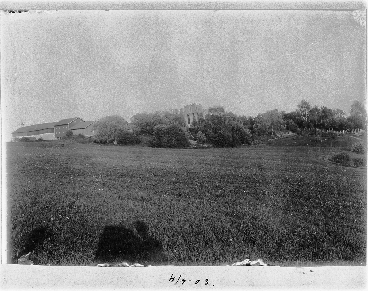 Johan Albert Steen, Storhamar gÅrd, Domkirkeruinen, fra 1908 Hedmarksmuseet (Oplandenes Folkemuseum. 4-9-1903.