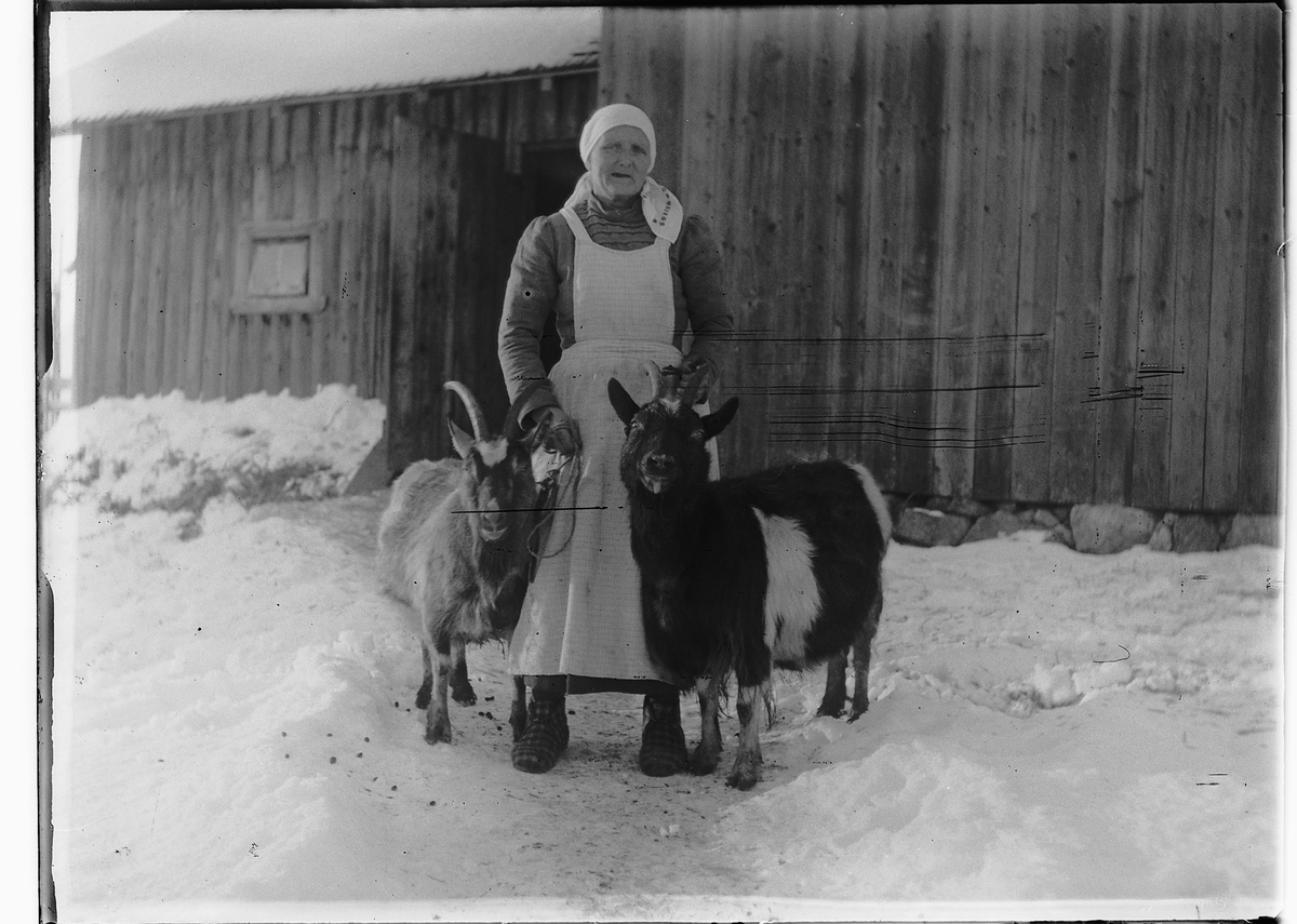 Ole M Martinsen, Ukjent kvinne med to geiter på ukjent sted, vinter.