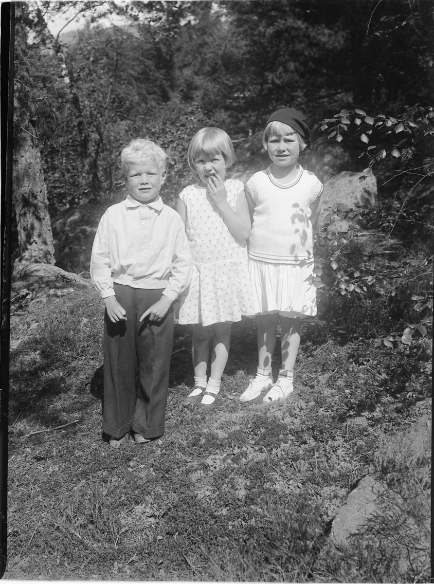 Mikkel Sveinhaug, GRUPPE 3 UKJENTE BARN.