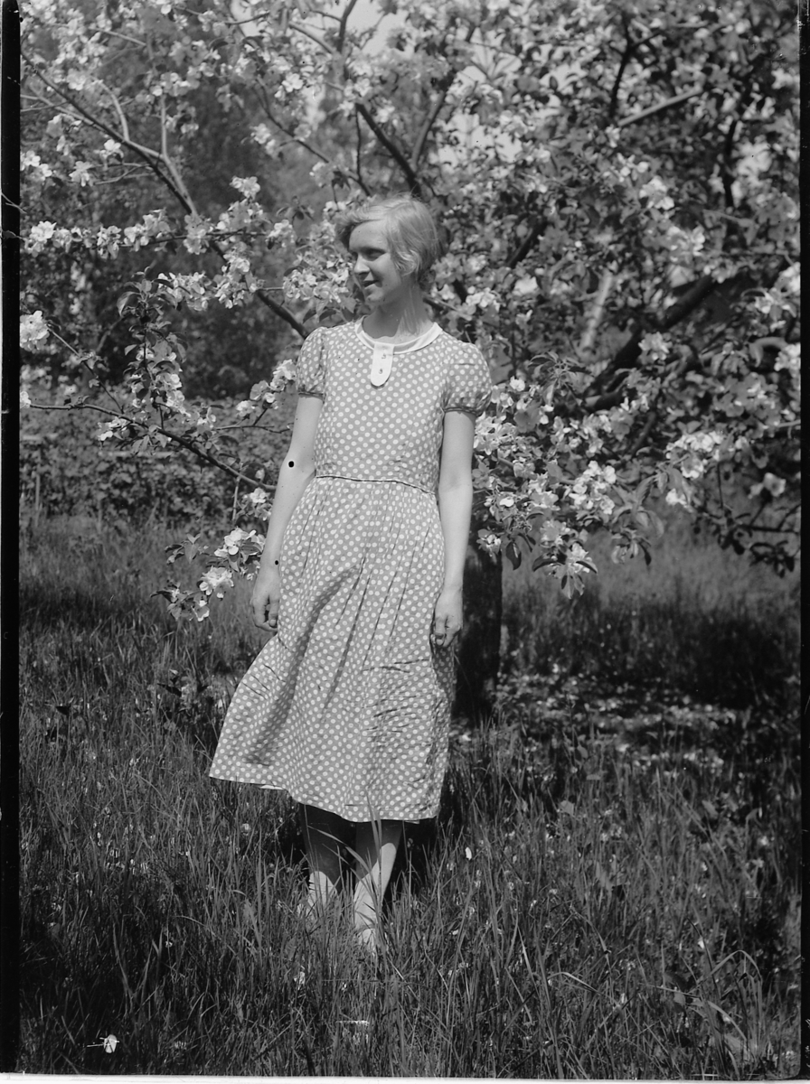 Mikkel Sveinhaug, LILLY. . . . . . . . . . . ? UKJENT ETTERNAVN.