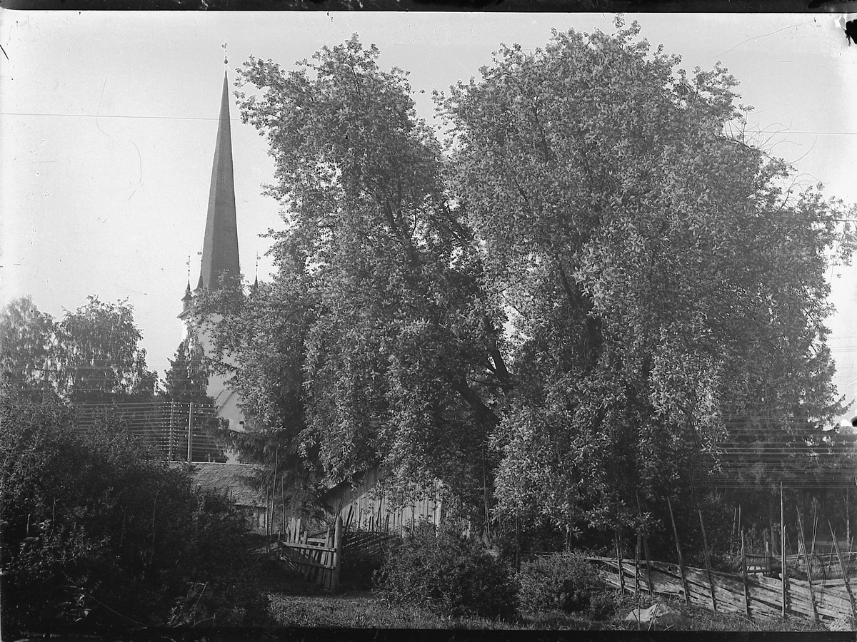 Mikkel Sveinhaug, VED RINGSAKER KIRKE, TINGVANG.